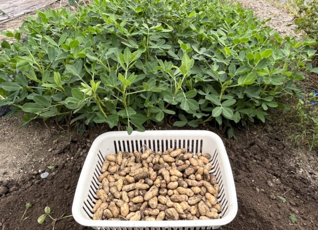 脂質制限・コレステロールが気になる人向け宅配食比較2026の活用ガイドのイメージ画像 2