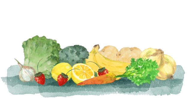 womens-meal-delivery-rankingの活用ガイドのイメージ画像 2