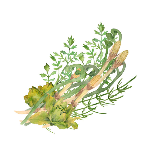 カロリー制限向け宅配食おすすめ比較2026｜1食400kcal以下で選ぶのイメージ画像 3