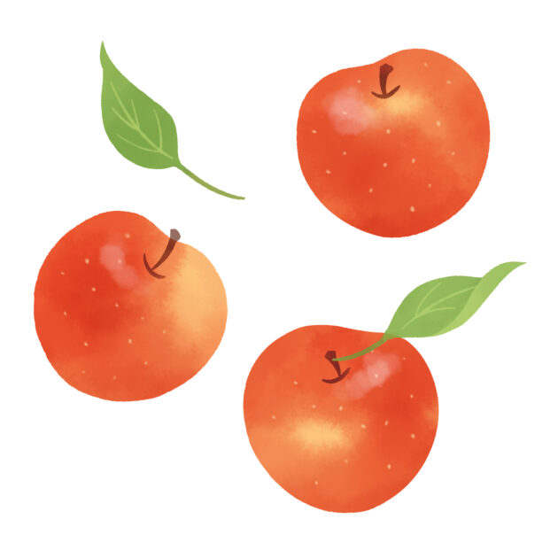 二人暮らし・夫婦向け宅配食比較2026｜2人で使いやすいサービスを選ぶの活用ガイドのイメージ画像 3