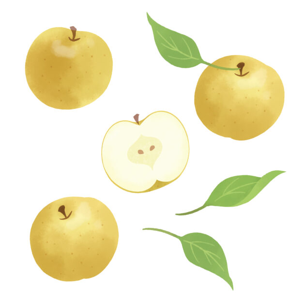 family-meal-delivery-rankingの活用ガイドのイメージ画像 3