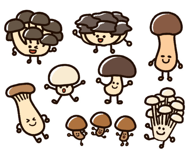 ボディメイク・筋トレ向け高タンパク宅配食比較2026の活用ガイドのイメージ画像 3