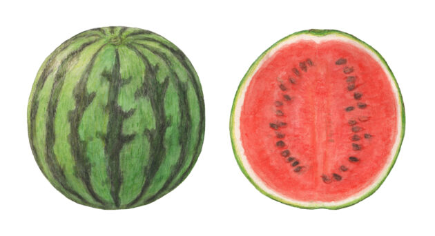 GREEN SPOONの料金・口コミは？特徴と注意点を解説のイメージ画像 2