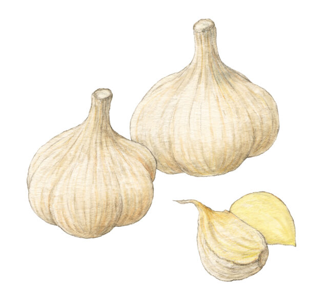 ままのて×コープデリ×おうちコープの料金・口コミは？特徴と注意点を解説のイメージ画像 3